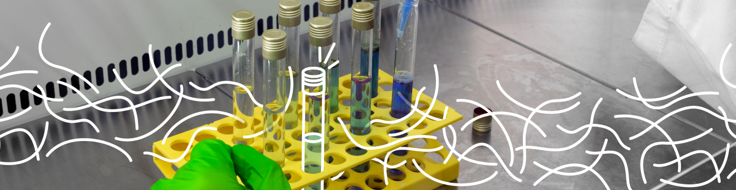 Photo de l'équipe Kyanos